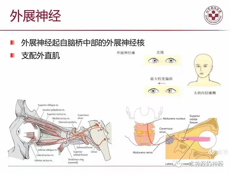 神经病定位定向